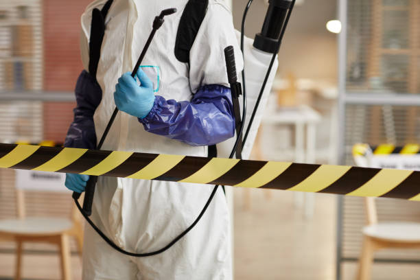 Professional Sewage Cleanup technician working in Linn, TX